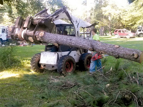 Call Dennis Tree Service for land clearing and debris removal.
