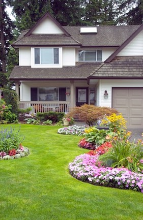 landscaped lawn 