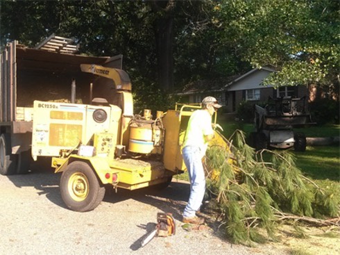 Dennis Tree Service offers complete tree removal and haul away services